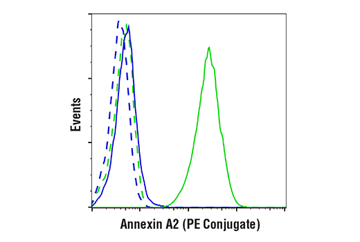 Flow Cytometry Image 1: Annexin A2 (D11G2) Rabbit mAb (PE Conjugate)