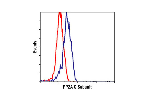 Flow Cytometry Image 1: PP2A C Subunit Antibody