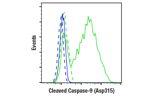 Flow Cytometry Image 1: Cleaved Caspase-9 (Asp315) (D8I9E) Rabbit mAb