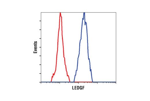 Flow Cytometry Image 1: LEDGF (C57G11) Rabbit mAb
