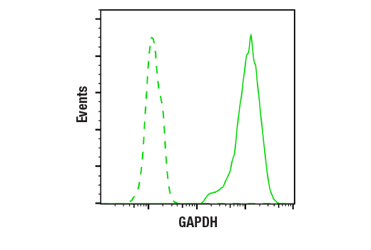 Flow Cytometry Image 1: GAPDH (14C10) Rabbit mAb (BSA and Azide Free)