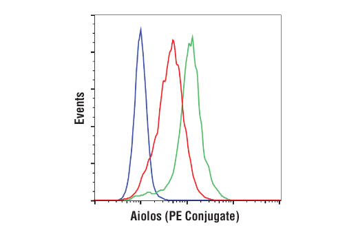 Flow Cytometry Image 1: Aiolos (D1C1E) Rabbit mAb (PE Conjugate)