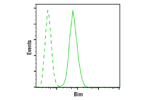 Flow Cytometry Image 1: Bim (C34C5) Rabbit mAb (BSA and Azide Free)