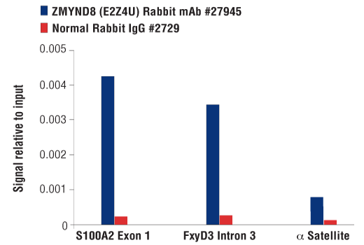 Chromatin Immunoprecipitation Image 3: ZMYND8 (E2Z4U) Rabbit mAb
