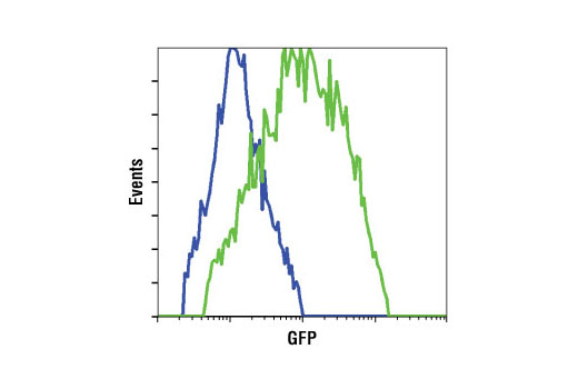 Flow Cytometry Image 1: GFP (4B10) Mouse mAb (BSA and Azide Free)