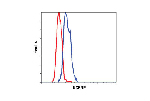 Flow Cytometry Image 1: INCENP (P240) Antibody