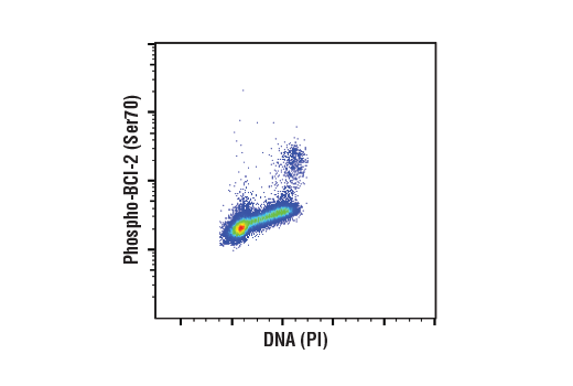 Flow Cytometry Image 1: Phospho-Bcl-2 (Ser70) (5H2) Rabbit mAb