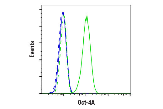 Flow Cytometry Image 1: Oct-4A (C30A3) Rabbit mAb