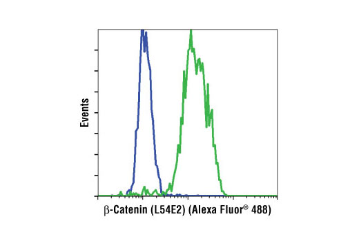 Flow Cytometry Image 1: β-Catenin (L54E2) Mouse mAb (Alexa Fluor® 488 Conjugate)