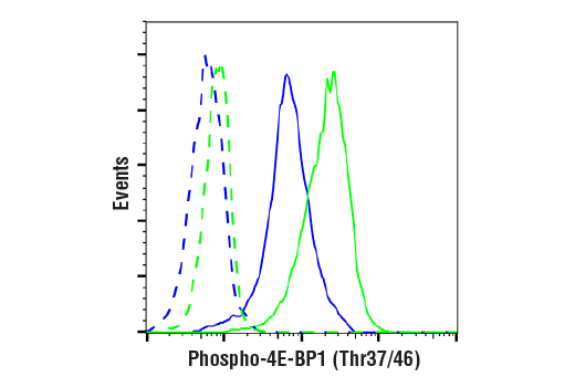 Flow Cytometry Image 1: Phospho-4E-BP1 (Thr37/46) (236B4) Rabbit mAb