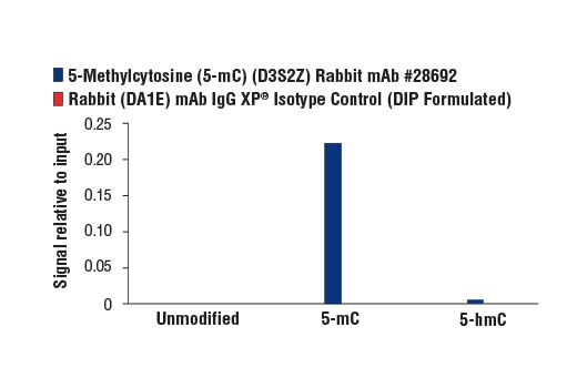  Image 4: 5-Methylcytosine (5-mC) (D3S2Z) Rabbit mAb