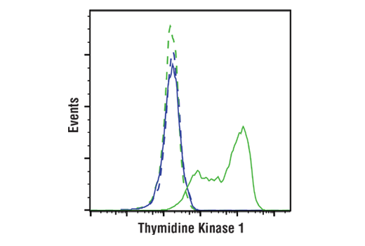 Flow Cytometry Image 1: Thymidine Kinase 1 (E2H7Z) Rabbit mAb