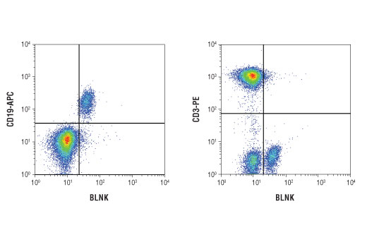Flow Cytometry Image 1: BLNK (D3P2H) XP® Rabbit mAb (BSA and Azide Free)