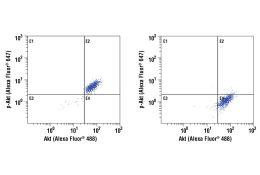 Flow Cytometry Image 1: Akt (5G3) Mouse mAb (Alexa Fluor® 488 Conjugate)