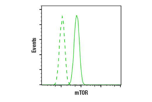  Image 5: TREM2-dependent mTOR Metabolic Fitness Antibody Sampler Kit