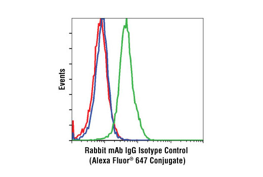  Image 6: Cellular Localization Alexa Fluor® 647 Conjugated Antibody Sampler Kit