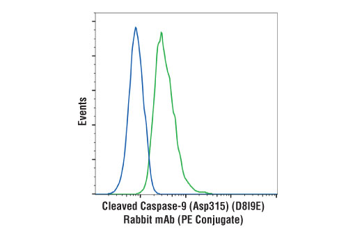 Flow Cytometry Image 1: Cleaved Caspase-9 (Asp315) (D8I9E) Rabbit mAb (PE Conjugate)