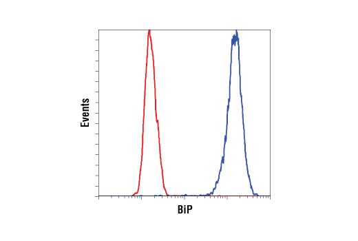 Flow Cytometry Image 1: BiP (C50B12) Rabbit mAb (BSA and Azide Free)