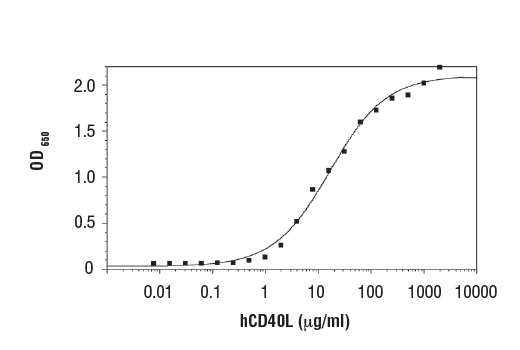  Image 1: Human CD40 Ligand (hCD40L) Recombinant Protein