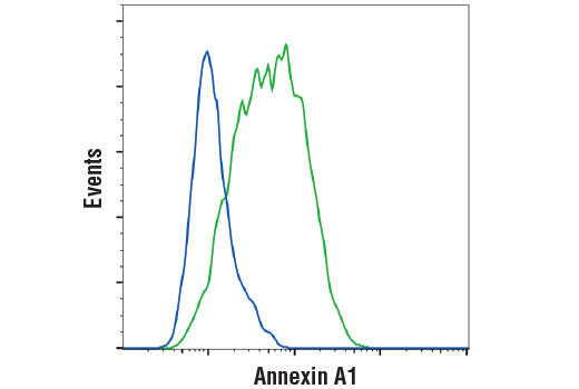 Flow Cytometry Image 1: Annexin A1 (D5V2T) XP® Rabbit mAb (BSA and Azide Free)
