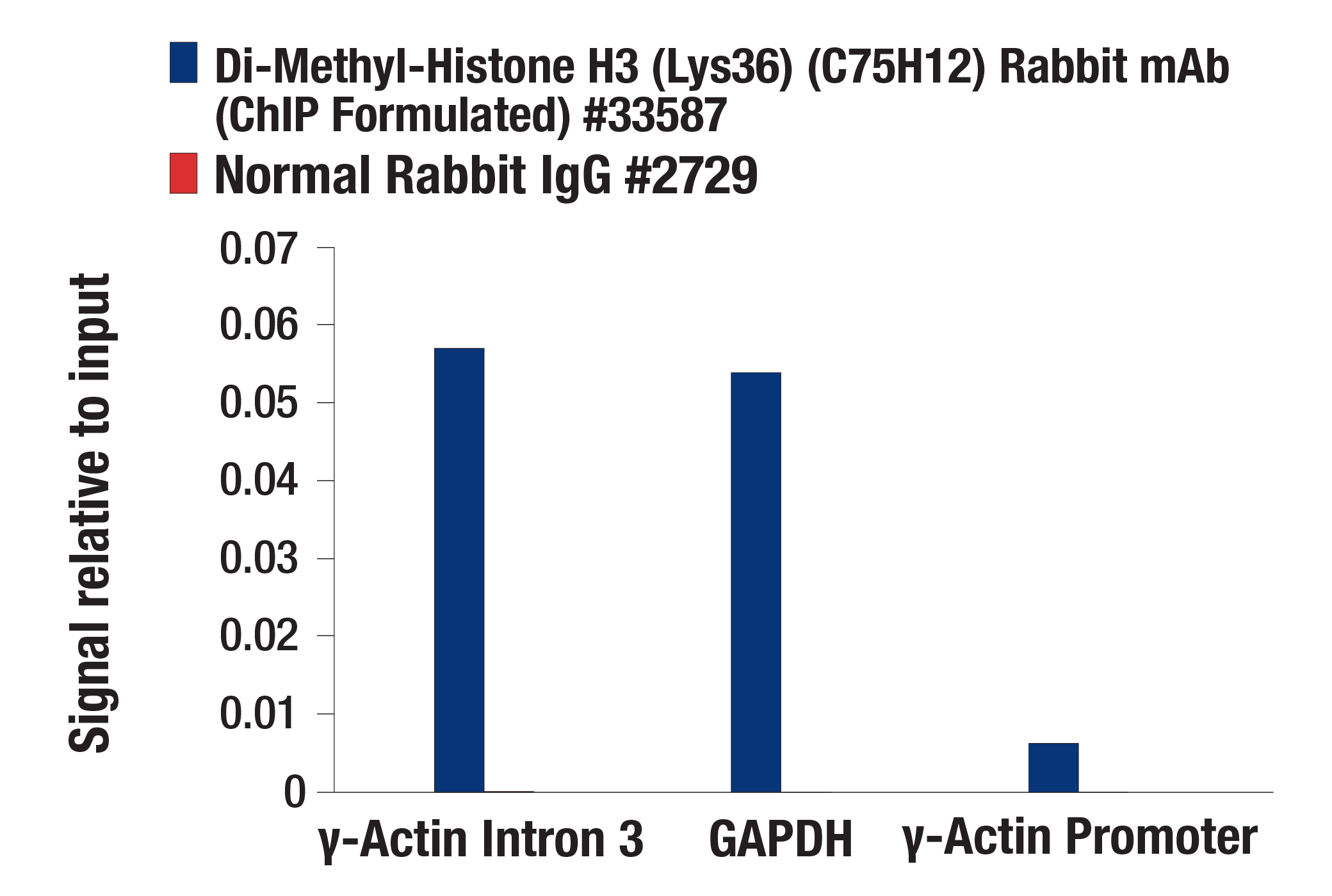 Chromatin Immunoprecipitation Image 1: Di-Methyl-Histone H3 (Lys36) (C75H12) Rabbit mAb (ChIP Formulated)