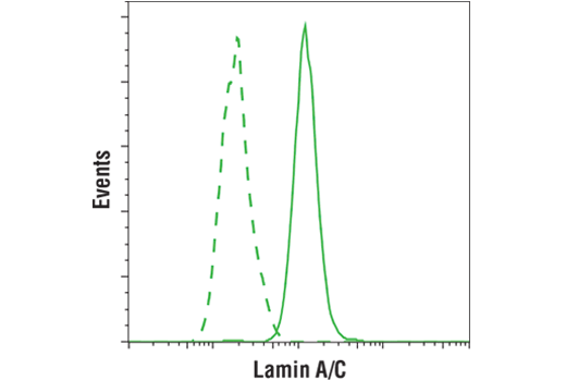 Flow Cytometry Image 2: Lamin A/C (4C11) Mouse mAb (BSA and Azide Free)