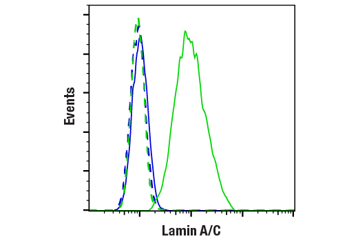 Flow Cytometry Image 1: Lamin A/C (4C11) Mouse mAb (BSA and Azide Free)