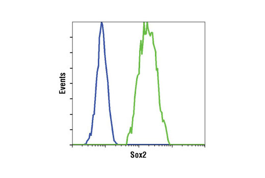  Image 4: PhosphoPlus® Sox2 (Ser250/Ser251) Antibody Duet