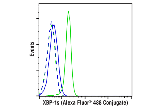 Flow Cytometry Image 1: XBP-1s (E9V3E) Rabbit mAb (Alexa Fluor® 488 Conjugate)