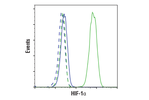 Flow Cytometry Image 1: HIF-1α (D1S7W) XP® Rabbit mAb (BSA and Azide Free)