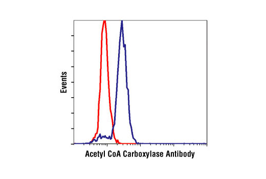 Flow Cytometry Image 1: Acetyl-CoA Carboxylase Antibody