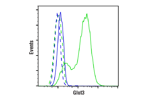 Flow Cytometry Image 1: Glut3 (E7M7V) Rabbit mAb