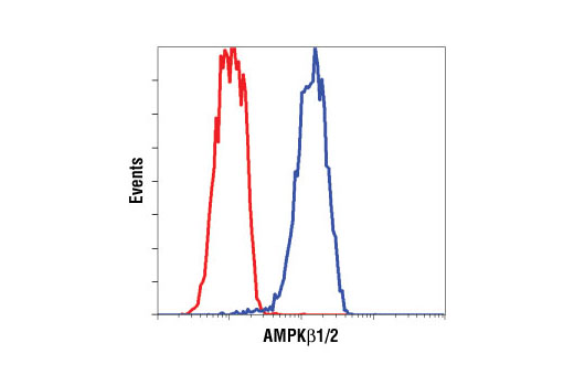 Flow Cytometry Image 1: AMPKβ1/2 (57C12) Rabbit mAb