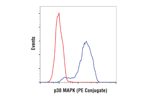 Flow Cytometry Image 1: p38 MAPK (D13E1) XP® Rabbit mAb (PE Conjugate)