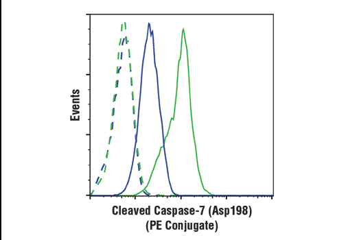 Flow Cytometry Image 1: Cleaved Caspase-7 (Asp198) (D6H1) Rabbit mAb (PE Conjugate)