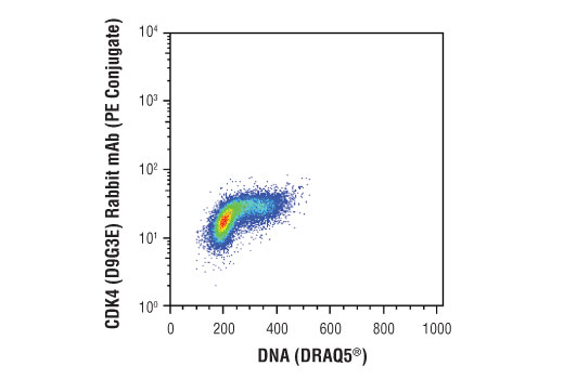 Flow Cytometry Image 1: CDK4 (D9G3E) Rabbit mAb (PE Conjugate)