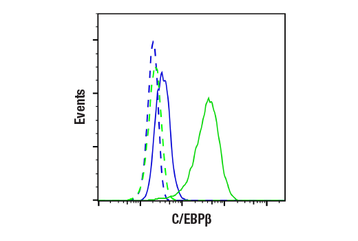 Flow Cytometry Image 1: C/EBPβ (E2K1U) Rabbit mAb
