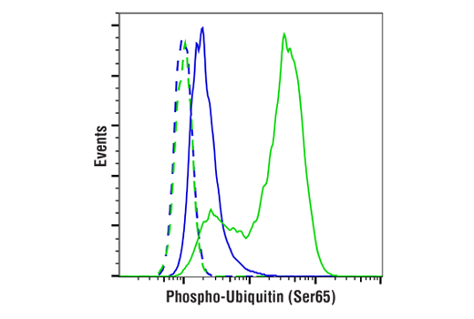 Flow Cytometry Image 1: Phospho-Ubiquitin (Ser65) (E5T1W) Rabbit mAb (BSA and Azide Free)