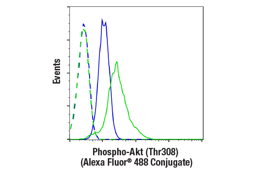 Flow Cytometry Image 1: Phospho-Akt (Thr308) (D25E6) XP® Rabbit mAb (Alexa Fluor® 488 Conjugate)