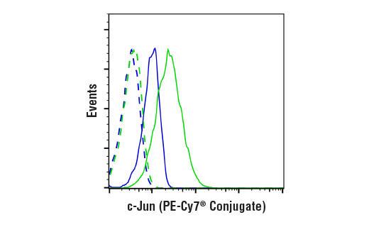 Flow Cytometry Image 1: c-Jun (60A8) Rabbit mAb (PE-Cy7® Conjugate)