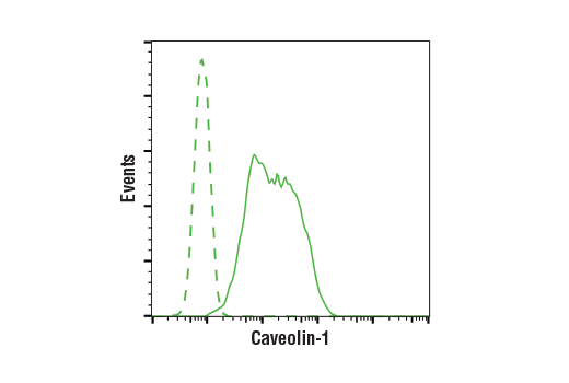 Flow Cytometry Image 1: Caveolin-1 (D46G3) XP® Rabbit mAb (BSA and Azide Free)