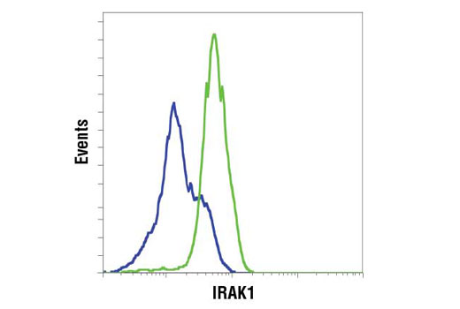  Image 10: IRAK Isoform Antibody Sampler Kit