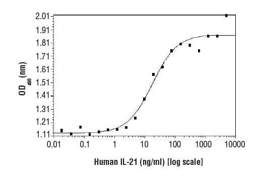  Image 1: Human Interleukin-21 (hIL-21) Recombinant Protein