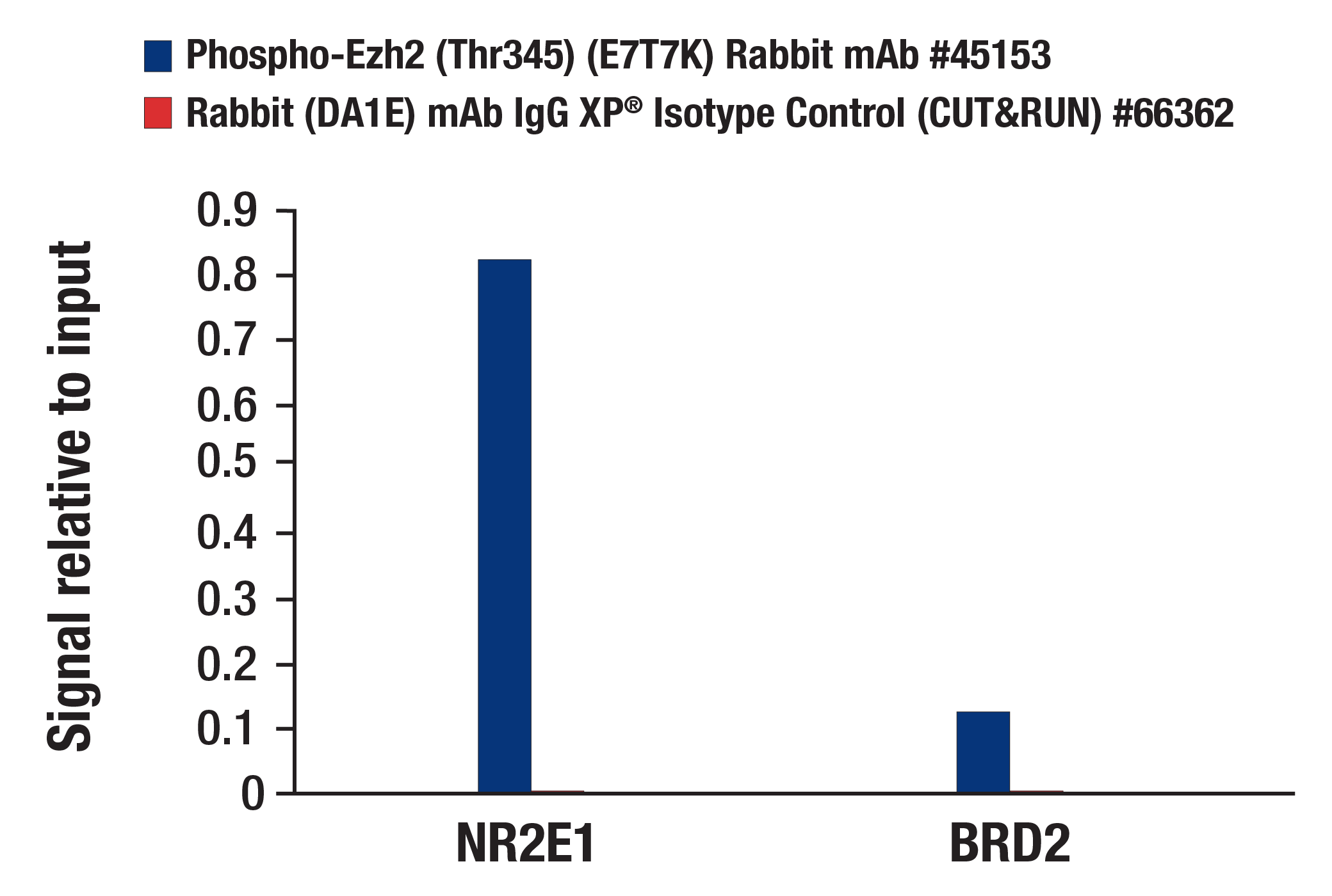  Image 14: PhosphoPlus® Ezh2 (Thr345) Antibody Duet