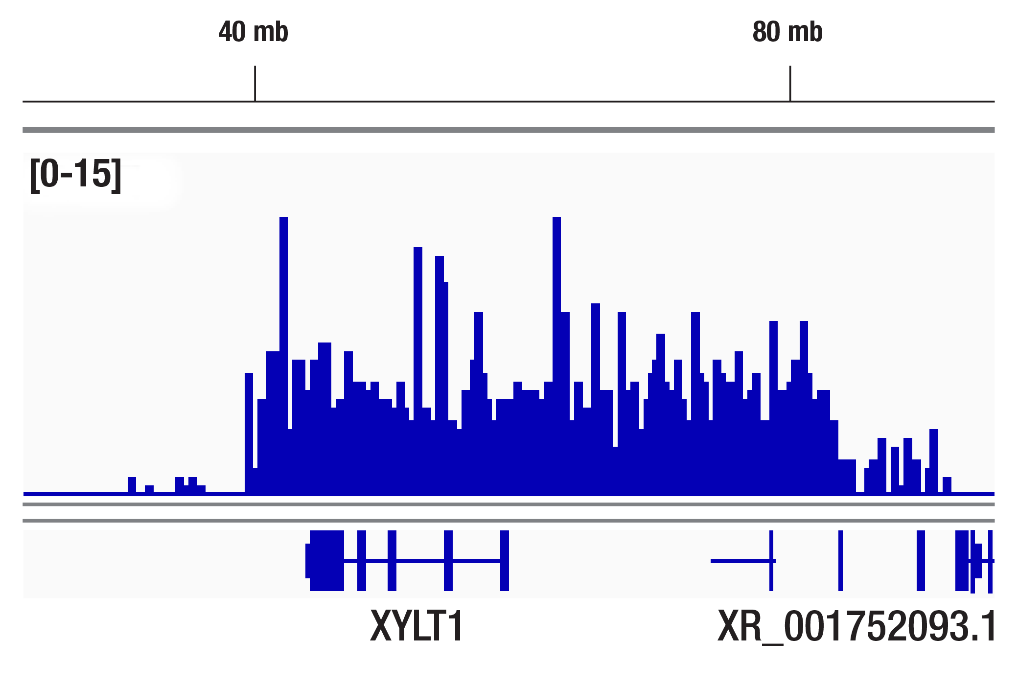 CUT and Tag Image 1: Di-Methyl-Histone H3 (Lys9) (D85B4) XP® Rabbit mAb