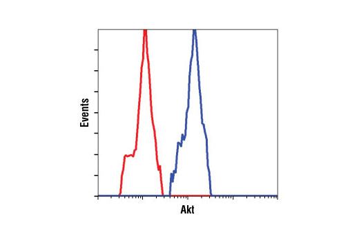 Flow Cytometry Image 1: Akt (pan) (11E7) Rabbit mAb