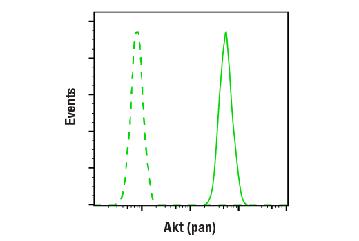  Image 1: PhosphoPlus® Akt (Thr308) Antibody Duet