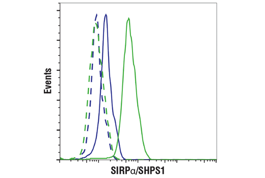 Flow Cytometry Image 1: SIRPα/SHPS1 (D6I3M) Rabbit mAb (BSA and Azide Free)