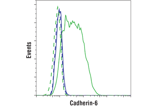 Flow Cytometry Image 1: Cadherin-6 (D3T3I) Rabbit mAb