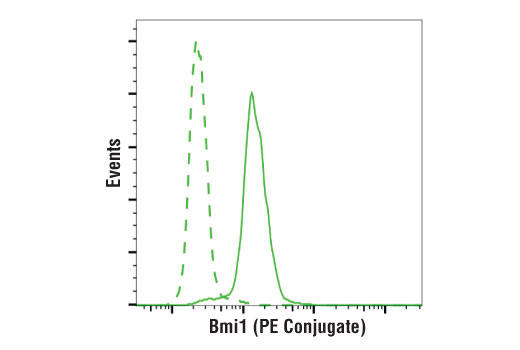 Flow Cytometry Image 1: Bmi1 (D20B7) XP® Rabbit mAb (PE Conjugate)